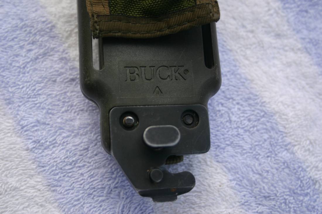 Australian-Buck-188-001b