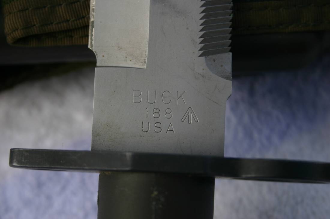 Australian-Buck-188-001h