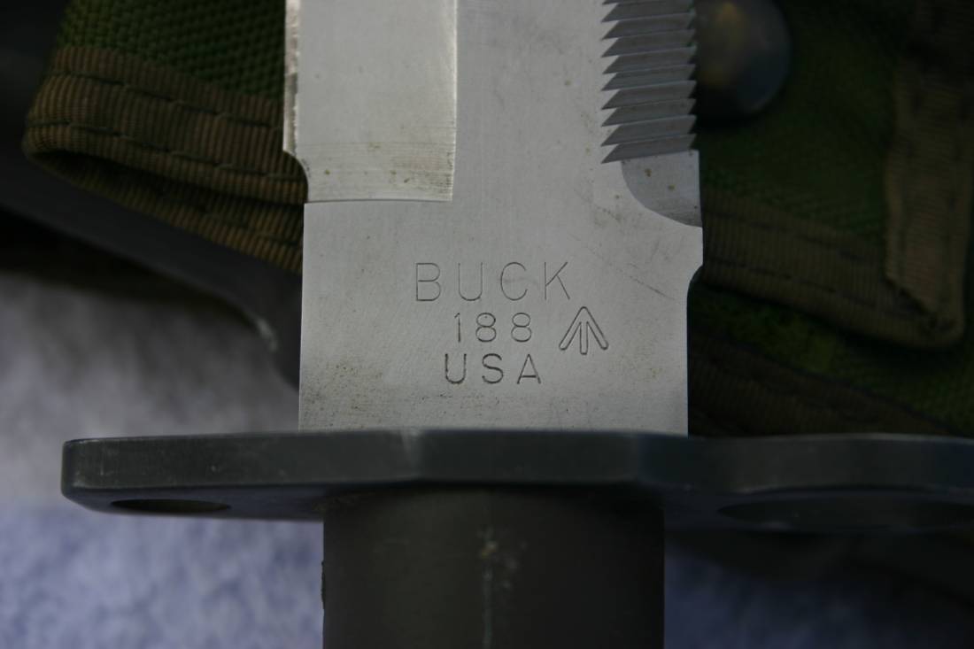 Australian-Buck-188-001m